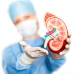 How Long Does a Kidney Transplantation Take_