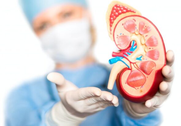 How Long Does a Kidney Transplantation Take_