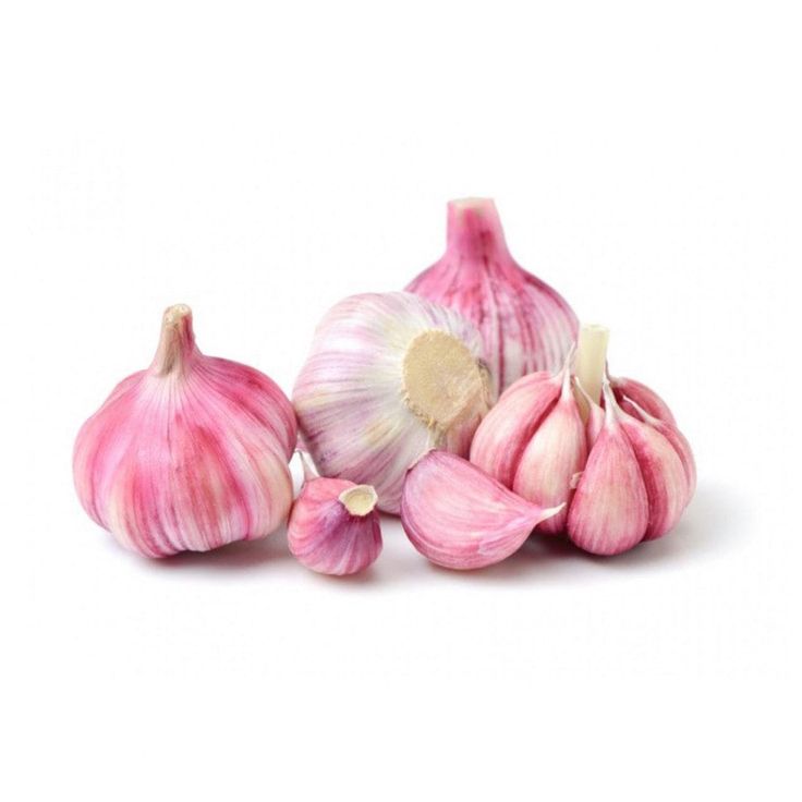 Garlic stop growth of helicobacter pylori